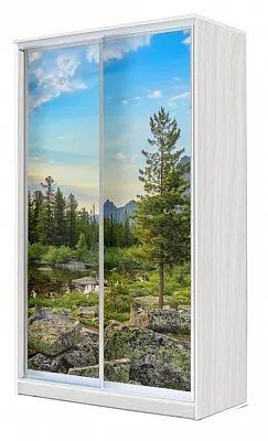 Шкаф-купе ХИТ 24-4-15-77 ПРИРОДА в Челябинске - chelyabinsk.mebel24.online | фото