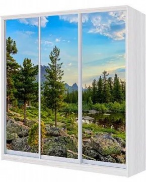 Шкаф-купе ХИТ 24-4-18/2-777 ПРИРОДА в Челябинске - chelyabinsk.mebel24.online | фото