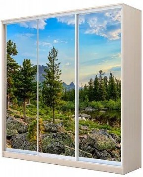 Шкаф-купе ХИТ 24-4-20-777 ПРИРОДА в Челябинске - chelyabinsk.mebel24.online | фото