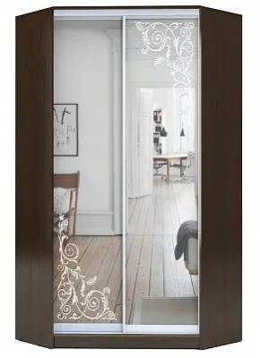 Шкаф-купе ХИТ-У-R-22-64-66 ОРНАМЕНТ в Челябинске - chelyabinsk.mebel24.online | фото