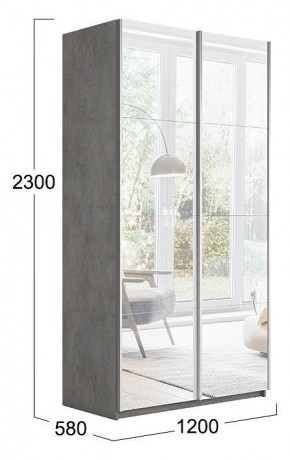 Шкаф-купе Траст СШК 2.120.60-13.13 в Челябинске - chelyabinsk.mebel24.online | фото 3