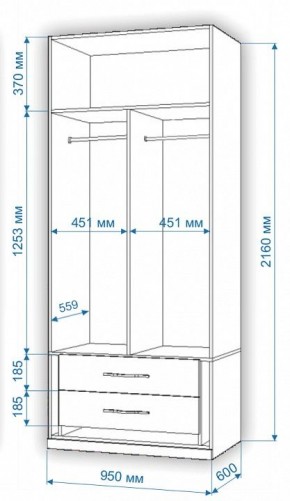 Шкаф платяной Нобиле Пл-95/60 в Челябинске - chelyabinsk.mebel24.online | фото 3