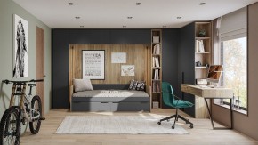 Шкаф платяной Порто СМ-393.07.223 в Челябинске - chelyabinsk.mebel24.online | фото 6