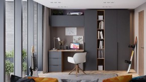 Шкаф платяной Порто СМ-393.07.223 в Челябинске - chelyabinsk.mebel24.online | фото 7