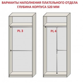 Шкаф распашной серия «ЗЕВС» (PL3/С1/PL2) в Челябинске - chelyabinsk.mebel24.online | фото 10