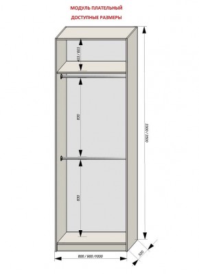 Шкаф распашной серия «ЗЕВС» (PL3/С1/PL2) в Челябинске - chelyabinsk.mebel24.online | фото 12