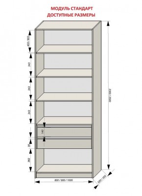 Шкаф распашной серия «ЗЕВС» (PL3/С1/PL2) в Челябинске - chelyabinsk.mebel24.online | фото 13