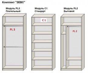 Шкаф распашной серия «ЗЕВС» (PL3/С1/PL2) в Челябинске - chelyabinsk.mebel24.online | фото 2