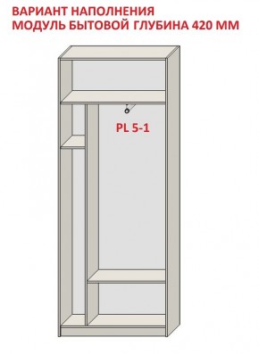 Шкаф распашной серия «ЗЕВС» (PL3/С1/PL2) в Челябинске - chelyabinsk.mebel24.online | фото 4