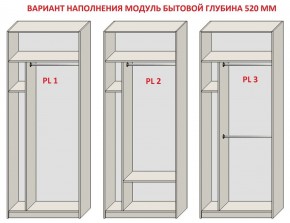 Шкаф распашной серия «ЗЕВС» (PL3/С1/PL2) в Челябинске - chelyabinsk.mebel24.online | фото 5