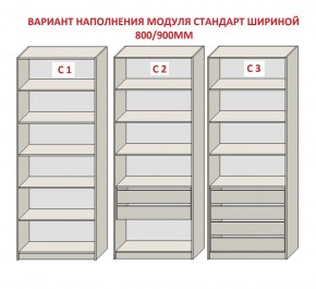 Шкаф распашной серия «ЗЕВС» (PL3/С1/PL2) в Челябинске - chelyabinsk.mebel24.online | фото 6