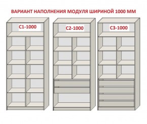 Шкаф распашной серия «ЗЕВС» (PL3/С1/PL2) в Челябинске - chelyabinsk.mebel24.online | фото 7