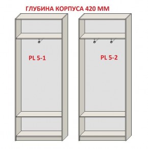 Шкаф распашной серия «ЗЕВС» (PL3/С1/PL2) в Челябинске - chelyabinsk.mebel24.online | фото 8