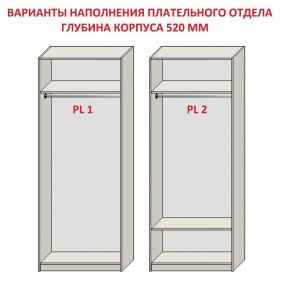 Шкаф распашной серия «ЗЕВС» (PL3/С1/PL2) в Челябинске - chelyabinsk.mebel24.online | фото 9