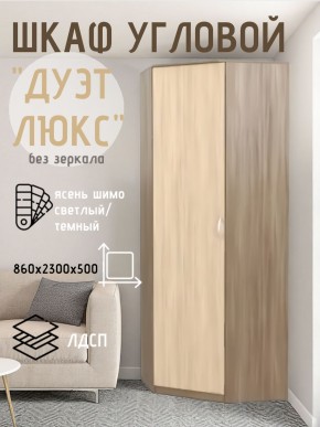 Шкаф угловой Дуэт Люкс без зеркала в Челябинске - chelyabinsk.mebel24.online | фото 7