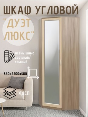 Шкаф угловой Дуэт Люкс с зеркалом в Челябинске - chelyabinsk.mebel24.online | фото 3