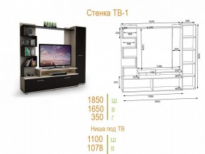 Стенка для гостиной ТВ-1 в Челябинске - chelyabinsk.mebel24.online | фото 2