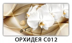 Стол раздвижной Трилогия с фотопечатью Лайм R156 в Челябинске - chelyabinsk.mebel24.online | фото 13