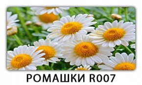 Стол раздвижной Трилогия с фотопечатью Лайм R156 в Челябинске - chelyabinsk.mebel24.online | фото 15