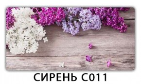 Стол раздвижной Трилогия с фотопечатью Лайм R156 в Челябинске - chelyabinsk.mebel24.online | фото 16