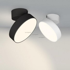 Светильник на штанге Arlight SP-RONDO-FLAP-R210-20W Day4000 (BK, 110 deg) 026453 в Челябинске - chelyabinsk.mebel24.online | фото 3