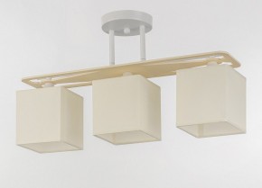 Светильник на штанге Escada Ares 1117/3PL в Челябинске - chelyabinsk.mebel24.online | фото 4