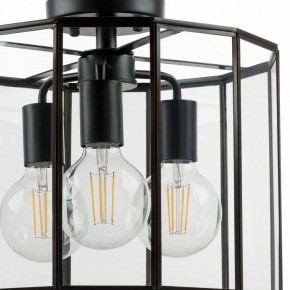 Светильник на штанге Lightstar Genni 798237 в Челябинске - chelyabinsk.mebel24.online | фото 4