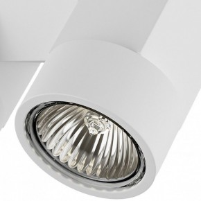 Светильник на штанге Lightstar Illumo X2 051036 в Челябинске - chelyabinsk.mebel24.online | фото 2