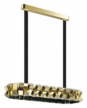 Светильник на штанге Odeon Light Asturo 4993/80LA в Челябинске - chelyabinsk.mebel24.online | фото 3