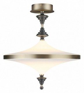 Светильник на штанге Odeon Light Ula 5404/43CL в Челябинске - chelyabinsk.mebel24.online | фото 2
