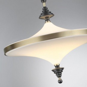 Светильник на штанге Odeon Light Ula 5404/43CL в Челябинске - chelyabinsk.mebel24.online | фото 6