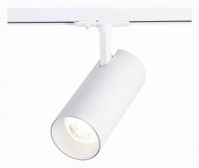 Светильник на штанге ST-Luce Mono ST350.536.30.36 в Челябинске - chelyabinsk.mebel24.online | фото 2