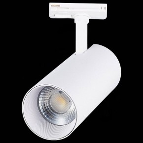 Светильник на штанге ST-Luce Mono ST350.536.30.36 в Челябинске - chelyabinsk.mebel24.online | фото 6