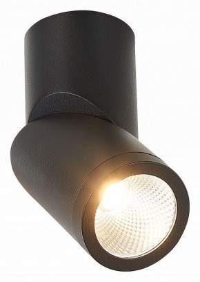 Светильник на штанге ST-Luce ST650 ST650.442.10 в Челябинске - chelyabinsk.mebel24.online | фото 2