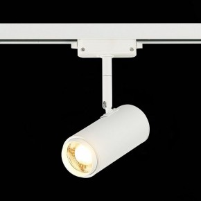 Светильник на штанге ST-Luce Zoom ST600.536.12 в Челябинске - chelyabinsk.mebel24.online | фото 4