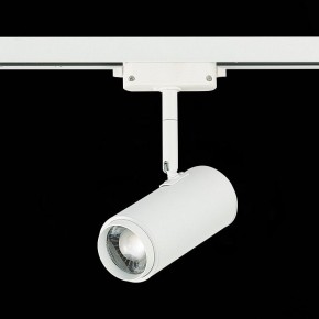 Светильник на штанге ST-Luce Zoom ST600.546.12 в Челябинске - chelyabinsk.mebel24.online | фото 5