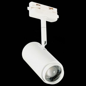 Светильник на штанге ST-Luce Zoom ST600.546.12 в Челябинске - chelyabinsk.mebel24.online | фото 6
