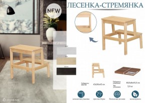 Табурет Стремянка в Челябинске - chelyabinsk.mebel24.online | фото 4