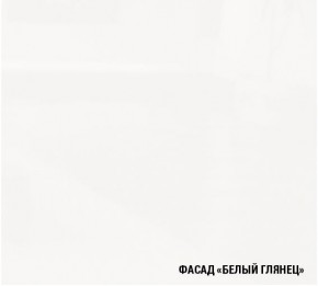 ТЕРЦИЯ Кухонный гарнитур Стандарт (1600 мм) в Челябинске - chelyabinsk.mebel24.online | фото 4