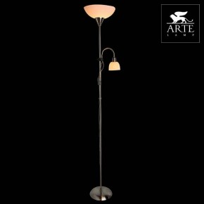 Торшер с подсветкой Arte Lamp Duetto A9569PN-2SS в Челябинске - chelyabinsk.mebel24.online | фото 3