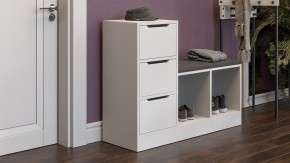 Тумба для обуви Тип 14 в Челябинске - chelyabinsk.mebel24.online | фото 5
