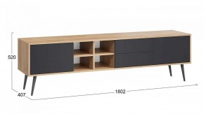 Тумба под ТВ Тип 5 в Челябинске - chelyabinsk.mebel24.online | фото 6