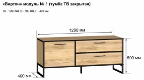 Тумба под ТВ Виртон-1 в Челябинске - chelyabinsk.mebel24.online | фото 10