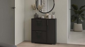 Тумбочка для обуви Тип 15 в Челябинске - chelyabinsk.mebel24.online | фото 5
