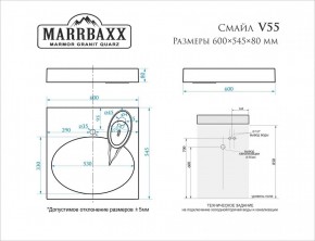 Умывальник над стиральной машиной (600*545*80) Смайл V55D1 (белый) с кронштейном без сифона (V55D1) в Челябинске - chelyabinsk.mebel24.online | фото 2