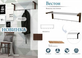 Вешалка-полка Вестон в Челябинске - chelyabinsk.mebel24.online | фото 3